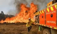 Belum Ada Informasi WNI Jadi Korban Kebakaran Hutan di Kanada