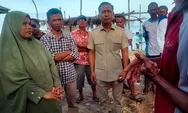 Respon Keluhan Nelayan, DPRD Bulukumba Terjun Langsung Ke Panrang Luhu