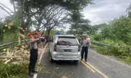 Polres Bulukumba Sampaikan 4 Imbauan Penting Usai Tangani Pohon Tumbang Akibat Angin Kencang