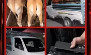 Pencurian Sapi Di Bulukumba Terungkap, Lima Pelaku Diamankan