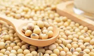 Sering Lemas Saat Puasa? Konsumsi 2 Makanan Ini Saat Buka Dan Sahur