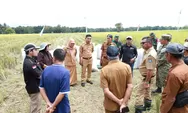 Panen Raya Padi Desa Bontoharu, Andi Utta Apresiasi Kerja Keras Petani