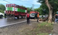 Aksi Cepat Polisi Dan BPBD Atasi Pohon Tumbang Di Bulukumba