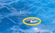 BREAKING NEWS: Perempuan Terjatuh Di Tebing Pantai Apparalang Bulukumba, Disapu Ombak Dan Belum Ditemukan