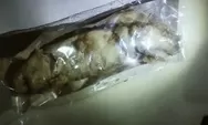 Menu MBG Bandeng Presto di Jepara Diduga Ada Belatungnya