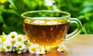 Rahasia Kesehatan Terungkap! 5 Manfaat Ajaib Teh Chamomile untuk Atasi Insomnia