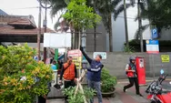 Pemkot Bandung Berkomitmen Jaga Pohon Pule di Kawasan Jalan Sudirman