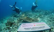 Kolaborasi Bersama BRI Peduli, Kelompok Maratua Lestarikan Terumbu Karang di Surga Bawah Laut Terindah di Indonesia 