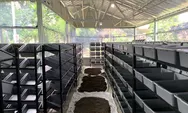 Panen Ratusan Kilo Kasgot, Budidaya Maggot di Kelurahan Sukamiskin Mulai Menuai Hasil