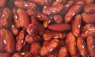 Tak Cuma Jadi Pelengkap Sayur, Kacang Merah Punya 5 Manfaat Ini untuk Kesehatan Tubuh, Tetapi Harus Perhatikan Hal Ini...