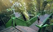 Yuks Main Ke Forest Walk Babakan Siliwangi, Tempat Hits di Bandung untuk Menikmati Segarnya oasis hijau Hutan Kota dan Spot Swafoto Asyik!