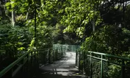 Explore Seru di Babakan Siliwangi, Oase Hutan Kota Dengan Forest Walk, Spot Foto Cantik, dan Kebersihan Kota Bandung!