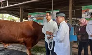 Pj Gubernur DKI Jakarta Heru Budi Ikuti Salat Idul Adha di Balaikota, No Open House, Fokus Qurban Sapi Seberat 1 Ton!