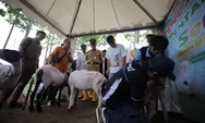 Penyembelihan Hewan Kurban di Bandung Meningkat, 13.701 Ekor di Idul Adha 2024, Lebih Ramah Lingkungan!