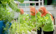 Berkat Dukungan Program BRINita Dari BRI, Kelompok Tani RW 07 Cempaka Putih Barat Sukses Sulap Lahan Terbengkalai Jadi Produktif
