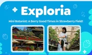 Eksplorasi Seru Bareng Anak di Mini Botanist, Asah Skill Bahasa Inggris dan Panen Stroberi di Bandung, Jangan Lewatkan!
