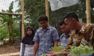 SMK SBI Cianjur Latih Keterampilan Berpikir... Melalui Proyek Hidroponik Berkelanjutan...