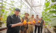 Penjabat Wali Kota Optimis Pengembangan Ketahanan Pangan di Kota Bandung Bisa Unggul