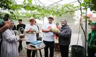 Wali Kota Bandung Berencana Kembangkan Kampung Wisata Melon Premium 