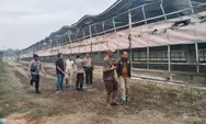 Kandang Ternak Ayam Ludes Terbakar, PT Karya Semangat Mandiri Farm Lima Alami Kerugian Rp3 Milyar