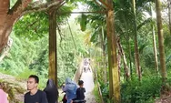 MIRIS, Jembatan Gantung Lhok Batee Intan Abdya Mulai Keropos