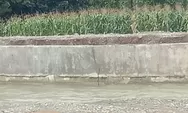 Proyek Rekonstruksi Perkuatan Tebing Sungai Lawe Bulan Agara Diragukan Kualitasnya