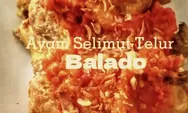 Ayam Selimut Telur Bumbu Balado: Gurih dan Pedas, Sensasi Kuliner yang Menggugah Selera