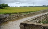 Akibat Hujan Deras, Dinding Irigasi di Paya Laot Abdya Rubuh Diterjang Banjir