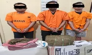 Terciduk Bawa Ganja 32Kg, Tiga Tersangka Langsung Disikat Satresnarkoba Polres Langkat