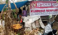 Koramil Biru Biru Bantu Warga Panen Jagung