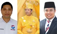 Inilah 3 Bintang Calon Bupati Deli Serdang Daftar ke Partai Golkar, Ada Imbang?