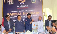 Bakal Calon Bupati Abdya Safaruddin Antar Berkas Calon Kepala Daerah ke NasDem