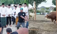 Usai Sholat Idul Adha di Lapangan Tasbi 1, Bobby Nasution Kurban 1 Ekor Sapi
