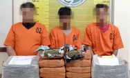 Petugas J&T Curiga Dapat Paket untuk Dikirim ke Bekasi Langsung Lapor Polisi, Ternyata Isinya 10 Kg Ganja, 3 Pria Ditangkap