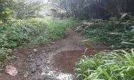Petani Salak Keluhkan Insfrastruktur Jalan yang Ditumbuhi dan Ditutupi Ilalang Serta Semak Belukar