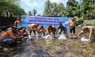 Dorong Ekosistem Perairan Lestari, Agincourt Resources Tebar Puluhan Ribu Bibit Ikan di Lubuk Larangan.