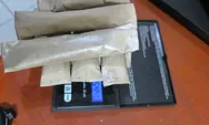HMH Pengedar Ganja Diciduk dari Warung Sendiri di Sitabotabo Taput