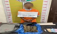 Tim Opsnal Sat Resnarkoba Polres Tapsel Sita 700 Gram Ganja Dari Rumah Pengedar