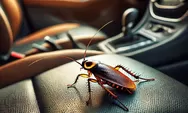 Awas, Ini Cara Membasmi Kecoa yang Bersarang di dalam Mobil