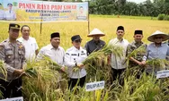 Ikut Panen Raya Padi Bersama Warga di Desa Tanjung, Bupati Padanglawas Putra Mahkota Alam Hasibuan Sebut Hasi Produksi Meningkat