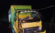 Diduga Ngerem Tiba-tiba, Truk Isi 1,5 Ton Ikan Emas Tabrak Pick Up Bawa Lembu di Padangsidimpuan