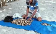 Cerita Suhatta 20 Tahun Mencari Kepah di Pantai Sialang Buah Serdang Bedagai, Pernah Temukan Mayat 