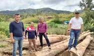 Wakil Bupati Taput Responsif Awak Media Atas Laporan Perambahan Kayu di Parmonangan