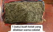 Polres Taput Amankan 6 Orang Penyalahguna Narkotika, 1,2 Kg Ganja Diamankan