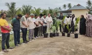 Patani Sumut dan Asosiasi Perkelapaan Indonesia Tanam Kelapa di Pondok Pesantren Pematang Biara
