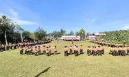  Wakil Bupati Nusar Amin Tutup Jambore Cabang Ke- IV Gerakan Pramuka Simeulue