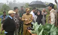 TSTH2 Humbahas Jadi Pusat Riset Herbal Hortikultura Terdepan di Indonesia, Ketua DEN Luhut Tegaskan Hal ini