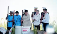 Gubernur Sumut Terima Satya Lencana Wirakarya dari Presiden