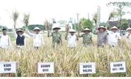 Dandim 0818/Malang Batu Hadiri Panen Perdana Padi Unggul HKTI Kabupaten Malang