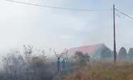8 Hektar Lahan Hangus di Simangaronsang, Satpol PP Humbahas Beri Peringatan ke Masyarakat: Jangan Sembarangan Membakar!